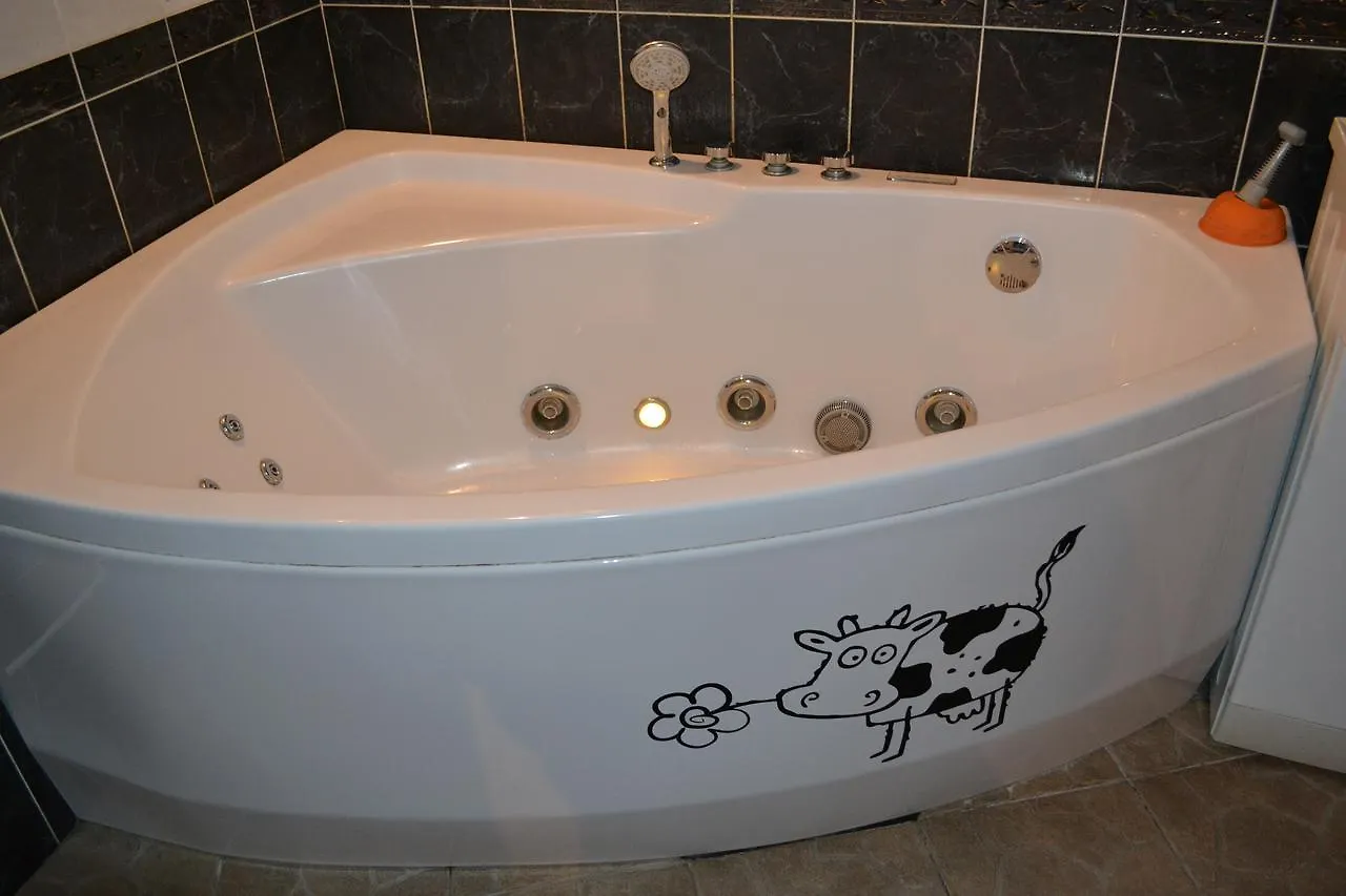 Red Cat Hostel Kiev Ukrayna
