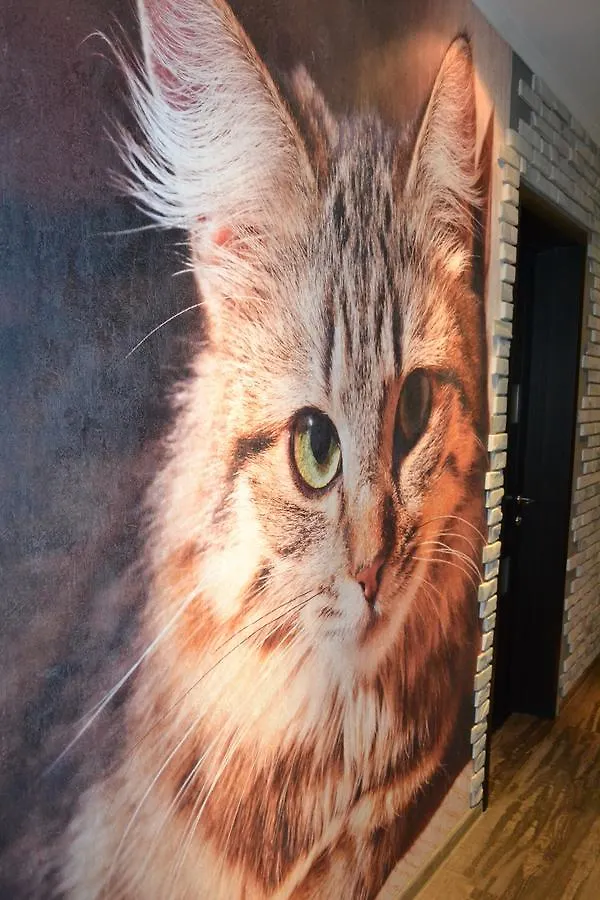Red Cat Hostel Kiev