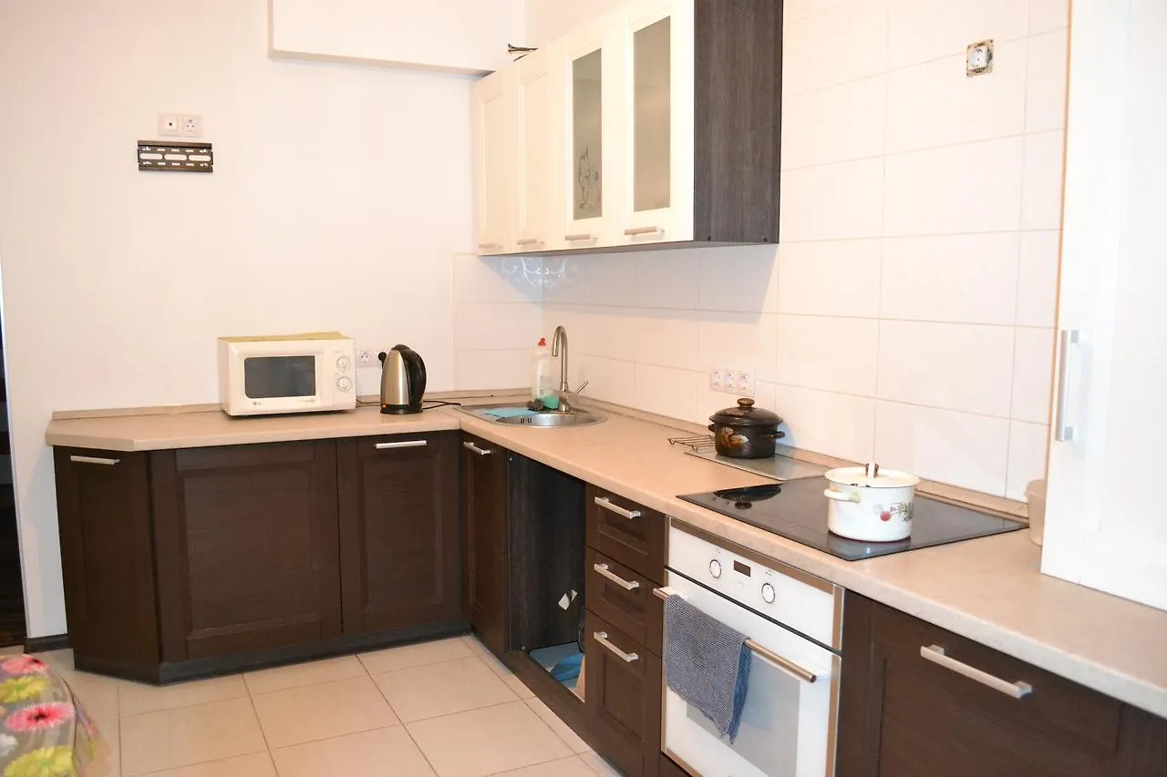 Red Cat Hostel Kiev Ukrayna