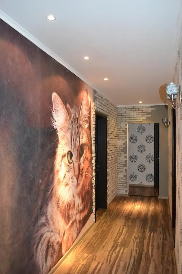 Red Cat Hostel Kiev